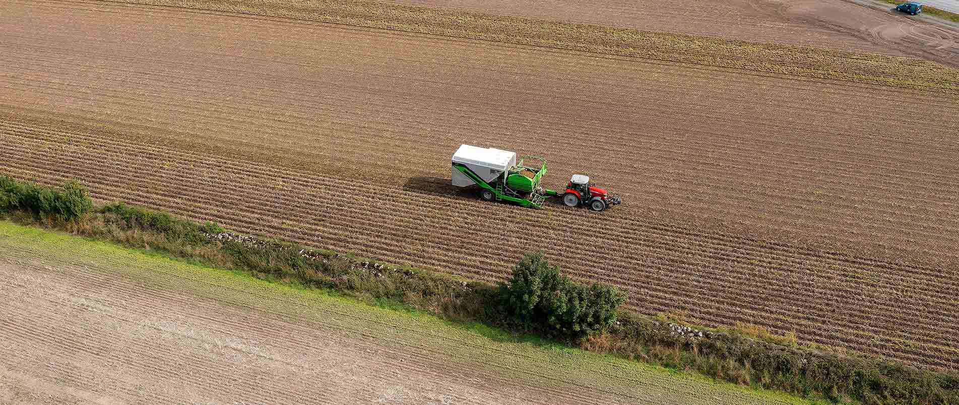 “探、收、烘、运”，看j9官网如何四管齐下一站式保障秋收果实