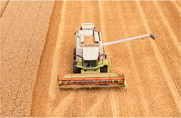 收——加大收割自动化力度，利用智能收获系统，保种保收，提产提质