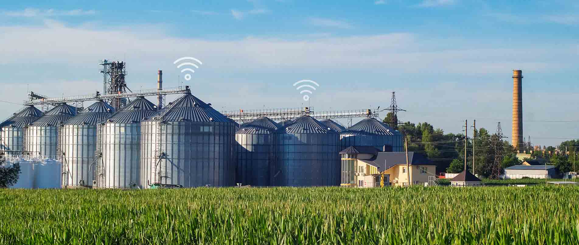 j9官网助力夏粮存储新招式，科技手段更有效