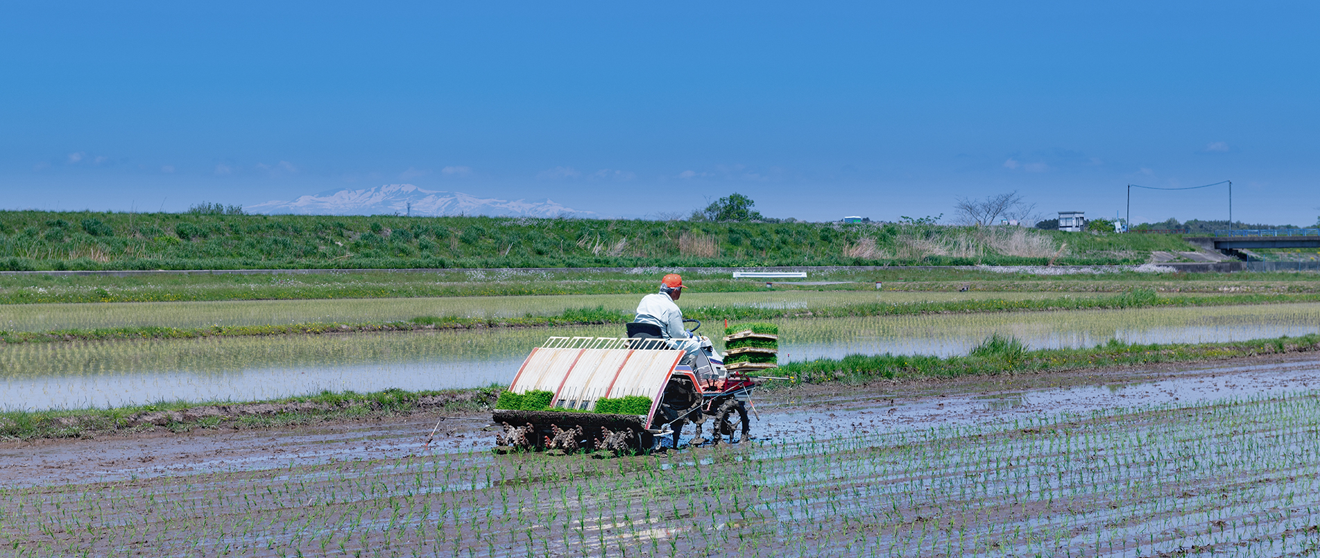 农机水田作业的“智慧大脑”——沃地泰FMA210，告别“经验种植”，开启精准高效农业之旅